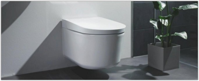 GROHE - WC lavant Sensia pro - levez le niveau d'hygine et de technologie